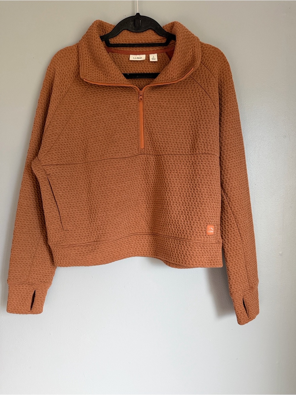 L.L. Bean Ridgeknit Half-Zip Pullover Oversized Granola Girl Outdoor Sweatshirt